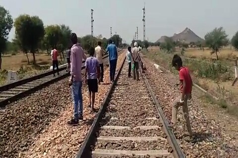 दौसा में ट्रेन की चपेट में आने से 25 बकरियों की हुई मौत