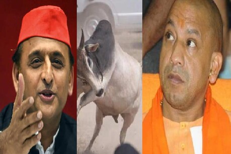 अखिलेश यादव और योगी आदित्यनाथ