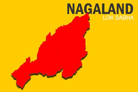 नगालैंड में बीजेपी, एनडीपीपी के साथ मिलकर चुनाव लड़ रही है.