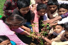 राजस्थान की 'ट्रीवुमन' जो धरती बचाने की मुहिम में लगी हैं