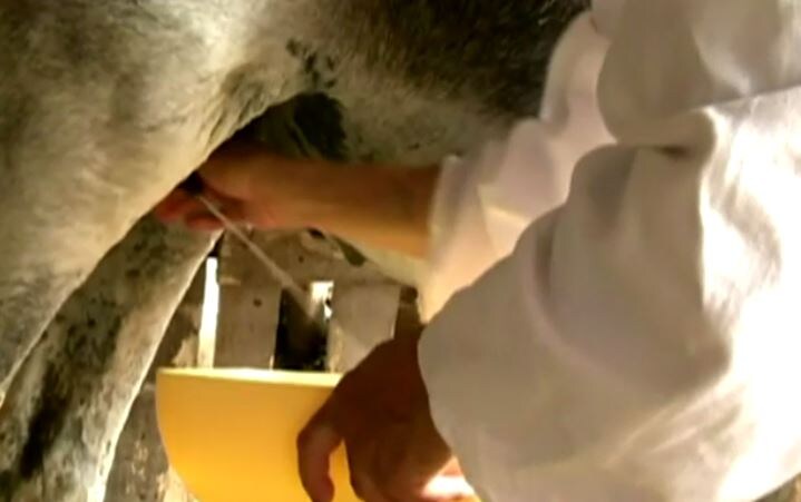 cheese dish, most expensive cheese, benefits of cheese, cheese for health, how to make cheese, पनीर के पकवान, सबसे महंगा पनीर, पनीर के फायदे, सेहत के लिए पनीर, पनीर बनाने की विधि