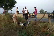 रोहतक में पुलिस और बदमाशों के बीच मुठभेड़, 4 गिरफ्तार