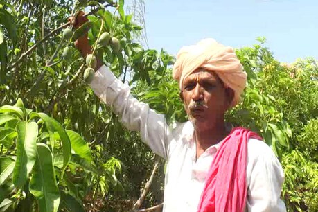 बिहार के माउंटेन मैन की तर्ज पर रतलाम में बंजर पहाड़ पर जंगल उगाने में जुटा ट्री मैन
