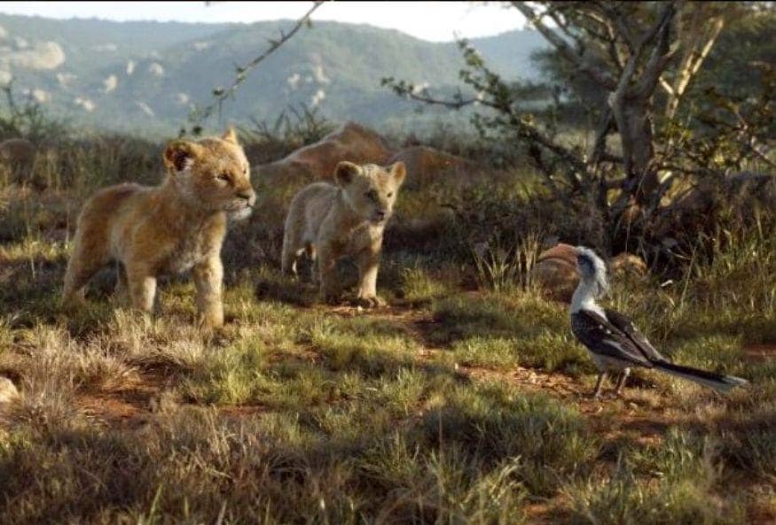 Lion King