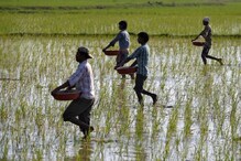 मोदी सरकार आज दे सकती है किसानों को बड़ा तोहफा!