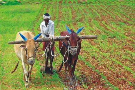 चुनावी सीजन में किसानों की बल्ले-बल्ले, हरियाणा और झारखंड सरकार ने खेती-किसानी के लिए खोला खजाना! चुनावी सीजन में किसानों की बल्ले-बल्ले, हरियाणा और झारखंड सरकार ने खेती-किसानी के लिए खोला खजाना!