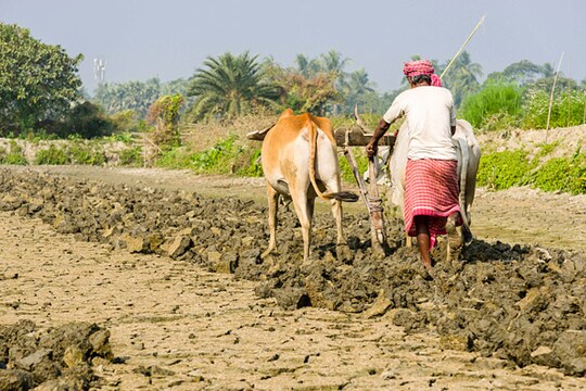 देश में करीब सात करोड़ किसानोंं के पास है केसीसी    