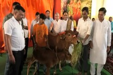 खंडवा में हिंदू-मुसलमान मिलकर बना रहे हैं गायों का अस्पताल