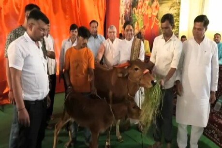 खंडवा में गायों के लिए बनेगा मध्य प्रदेश का पहला अस्पताल, हिंदू-मुसलमान सब कर रहे हैं सहयोग खंडवा में गायों के लिए बनेगा मध्य प्रदेश का पहला अस्पताल, हिंदू-मुसलमान सब कर रहे हैं सहयोग