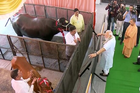 मथुरा पहुंचे पीएम नरेंद्र मोदी: आजादी के बाद पशुओं के लिए सबसे बड़े मेले का करेंगे शुभारंभ मथुरा पहुंचे पीएम नरेंद्र मोदी: आजादी के बाद पशुओं के लिए सबसे बड़े मेले का करेंगे शुभारंभ