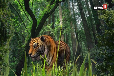 घटना करौली जिले के
सपोटरा उपखंड के बसारी गांव में गुरुवार को अलसुबह हुई। फाइल फोटो
