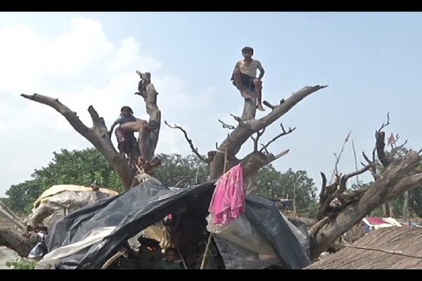 यहां पेड़ों पर चिड़िया नहीं इंसान रहते हैं! देखें रूह को झकझोर देने वाली तस्वीरें