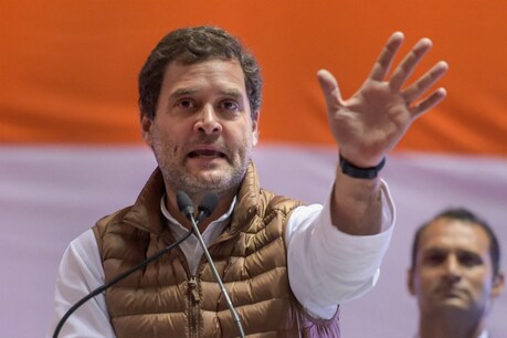 हरियाणा और महाराष्ट्र में अच्छे प्रदर्शन के बाद भी खुश नहीं हैं राहुल गांधी, ये है वजह हरियाणा और महाराष्ट्र में अच्छे प्रदर्शन के बाद भी खुश नहीं हैं राहुल गांधी, ये है वजह