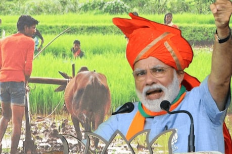 PM-किसान सम्मान निधि स्कीम लागू करने पर क्यों मजबूर हुए अरविंद केजरीवाल? PM-किसान सम्मान निधि स्कीम लागू करने पर क्यों मजबूर हुए अरविंद केजरीवाल?