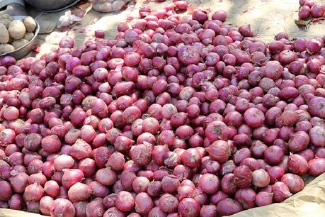 प्याज की बढ़ी कीमतों ने लोगों को परेशान कर रखा है. ( प्रतीकात्मक चित्र )