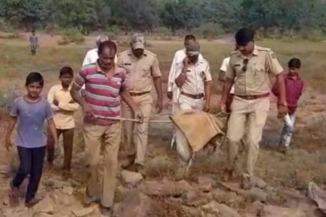 घटना जिले के नियाना पंचायत के मानपुरा गांव में हुई. वहां ग्रामीणों ने सुबह करीब 11 बजे गांव में मगरमच्छ को घूमते देखा तो उनके होश पाख्ता हो गए और वहां दहशत फैल गई. फोटो : न्यूज 18 राजस्थान ।