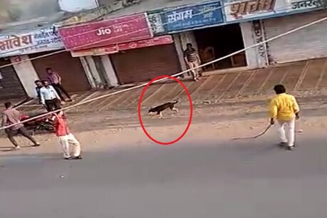 रतलाम- निगम के कर्मचारियों ने श्वान को मौत के घाट उतारा