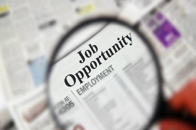 Government Jobs: इस सरकारी विभाग में निकली नौकरी, 67,000 से ज्यादा होगी सैलरी Government Jobs: इस सरकारी विभाग में निकली नौकरी, 67,000 से ज्यादा होगी सैलरी