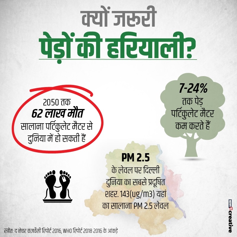 report on tree cut, Climate Change, Ministry of Environment, Forest area, air pollution, polluted cities in india, पेड़ों की कटाई पर रिपोर्ट, जलवायु परिवर्तन, पर्यावरण मंत्रालय, वन क्षेत्र, वायु प्रदूषण, भारत के प्रदूषित शहर, तेलंगाना, महाराष्ट्र, मध्य प्रदेश, छत्तीसगढ़, आंध्र प्रदेश, जम्मू एंड कश्मीर, Telangana, Maharashtra, Madhya Pradesh, Chhattisgarh, Andhra Pradesh, Jammu and Kashmir