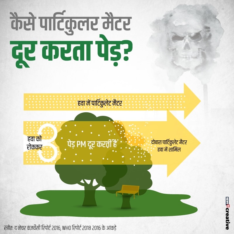 report on tree cut, Climate Change, Ministry of Environment, Forest area, air pollution, polluted cities in india, पेड़ों की कटाई पर रिपोर्ट, जलवायु परिवर्तन, पर्यावरण मंत्रालय, वन क्षेत्र, वायु प्रदूषण, भारत के प्रदूषित शहर, तेलंगाना, महाराष्ट्र, मध्य प्रदेश, छत्तीसगढ़, आंध्र प्रदेश, जम्मू एंड कश्मीर, Telangana, Maharashtra, Madhya Pradesh, Chhattisgarh, Andhra Pradesh, Jammu and Kashmir