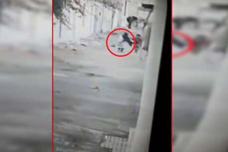 घर के बाहर खेल रही बच्ची पर आवारा कुत्ते ने किया हमला, गाल और आंख को काटा घर के बाहर खेल रही बच्ची पर आवारा कुत्ते ने किया हमला, गाल और आंख को काटा