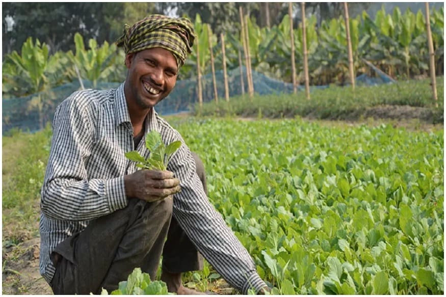 बजट 2020 ,आम बजट ,बजट २०२० ,बजट 2020-21 हिन्दी में ,बजट क्या है ,आज का बजट ,बजट इन हिंदी ,बजट 2020-21 ,आम बजट 2020 ,निर्मला सीतारमण , पीएम किसान सम्मान निधि योजना, पीएम किसान निधि योजना के लाभार्थी, pm kishan sammamn nidhi yojna, Nirmala Sitharaman ,budget 2020 ,india budget ,budget india 2020 ,budget live ,union budget ,budget date ,budget 2020 date ,budget 2020 live ,union budget 2020 ,2020 budget highlights ,budget news ,budget of 2020 ,budget income tax Union Budget 2020 modi Government announces PM Kisan Samman Nidhi yojna finance minister nirmala sitaraman know nodrss