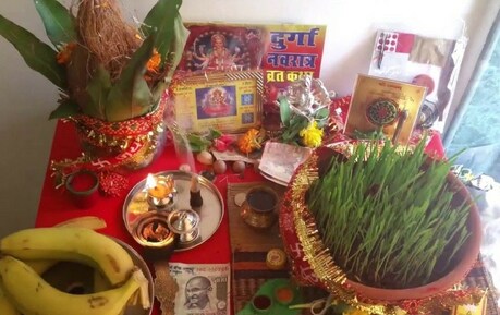 Chaitra Navratri 2020: नवरात्रि में उगाए जाने वाले गेहूं का ज्वारा आपकी हेल्थ के लिए हो सकता है फायदेमंद, जानें कैसे Chaitra Navratri 2020: नवरात्रि में उगाए जाने वाले गेहूं का ज्वारा आपकी हेल्थ के लिए हो सकता है फायदेमंद, जानें कैसे