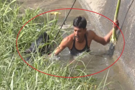 VIDEO: नदी में गिरा बैल, युवक ने जान पर खेलकर ऐसे बचाया VIDEO: नदी में गिरा बैल, युवक ने जान पर खेलकर ऐसे बचाया