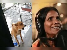 Video: जब कुत्ते ने रानू मंडल के गाने पर मिलाया सुर में सुर, हुआ वायरल