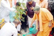 यूपी में लगाए गए 54 करोड़ पौधे, फिर भी घट गया 100 वर्ग किलोमीटर वन क्षेत्र !