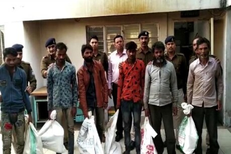 भोपाल और आसपास फैला है चंदन तस्करों का रैकेट, 6 आरोपी गिरफ्तार, 58 किलो लकड़ी जब्त भोपाल और आसपास फैला है चंदन तस्करों का रैकेट, 6 आरोपी गिरफ्तार, 58 किलो लकड़ी जब्त