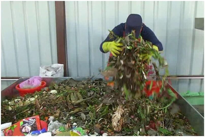 हर रोज घर और चौधरी चरण सिंह विश्वविद्यालय के विभागों से निकलने वाले चार हजार किलो कूड़े का इलाज किया जाता है. विवि कैंपस में दो गार्बेज एम्बुलेंस से कूड़ा एकत्र करते हुए क्लीनिक पर ट्रीटमेंट के लिए लाया जाता है और फिर गीला कूड़ा 15 दिनों में खाद में तब्दील हो जाता है. जबकि यहां प्लास्टिक, बोतल, कांच सहित विभिन्न तरह के पदार्थ अलग एकत्र होते हैं और वे रि-साइकिल के लिए दो कंपनियों को दिए जाते हैं. हर रोज घर और चौधरी चरण सिंह विश्वविद्यालय के विभागों से निकलने वाले चार हजार किलो कूड़े का इलाज किया जाता है. विवि कैंपस में दो गार्बेज एम्बुलेंस से कूड़ा एकत्र करते हुए क्लीनिक पर ट्रीटमेंट के लिए लाया जाता है और फिर गीला कूड़ा 15 दिनों में खाद में तब्दील हो जाता है. जबकि यहां प्लास्टिक, बोतल, कांच सहित विभिन्न तरह के पदार्थ अलग एकत्र होते हैं और वे रि-साइकिल के लिए दो कंपनियों को दिए जाते हैं.