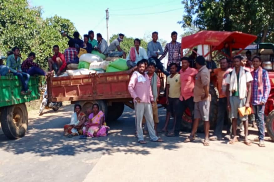 Chhattisgarh News, Paddy