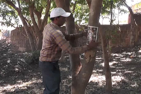 पेड़ काटने से रोकने के लिए अनोखी पहल, लोग डरें इसलिए उन पर भगवान की तस्वीर चिपका रहा है ये शख्स पेड़ काटने से रोकने के लिए अनोखी पहल, लोग डरें इसलिए उन पर भगवान की तस्वीर चिपका रहा है ये शख्स