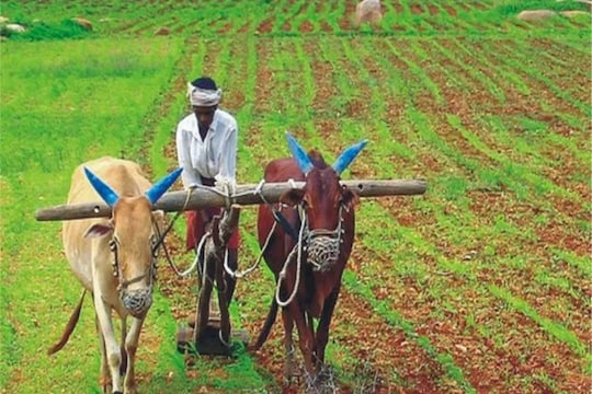 किसानों के लिए बड़े काम की है यह स्कीम 