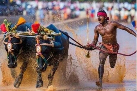 ट्रायल की तारीख तय नहीं, भारत के 'यूसेन बोल्ट' ने बताई रेस की 'सच्चाई'! ट्रायल की तारीख तय नहीं, भारत के 'यूसेन बोल्ट' ने बताई रेस की 'सच्चाई'!