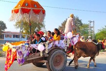 देखें तस्वीरें... उदयपुर में निकली अनूठी बारात, सज-धज कर बैलगाड़ी पर सवार हुए बाराती
