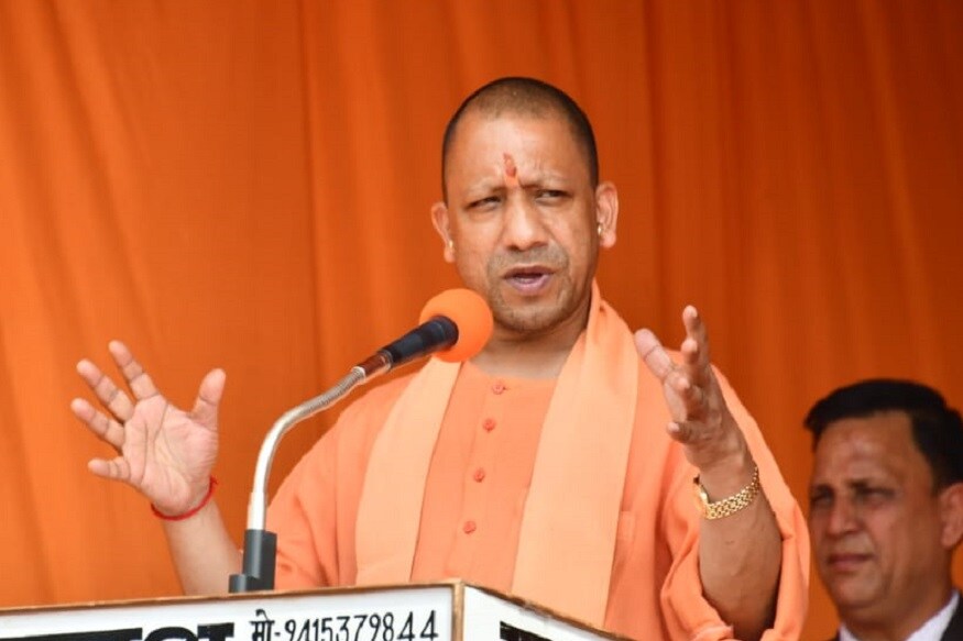 yogi latest1