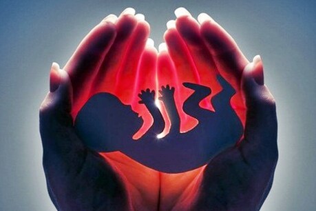 कुल्लू में खुदाई के दौरान मिला भ्रूण, पुलिस को प्रीमेच्योर डिलिवरी का हो रहा शक कुल्लू में खुदाई के दौरान मिला भ्रूण, पुलिस को प्रीमेच्योर डिलिवरी का हो रहा शक