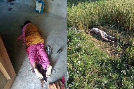 सोलन में डबल मर्डर: नशे के आदी शख्स ने पत्नी और बेटे को मार डाला सोलन में डबल मर्डर: नशे के आदी शख्स ने पत्नी और बेटे को मार डाला