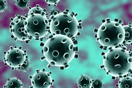Coronavirus: अल्मोड़ा में लॉकडाउन की पहले दिन ही निकली हवा, कई यात्री फंसे Coronavirus: अल्मोड़ा में लॉकडाउन की पहले दिन ही निकली हवा, कई यात्री फंसे