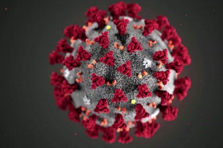 Corona virus: जांजगीर में 31 मार्च तक धारा-144 लागू, खुली रहेगी इन चीजों की दुकान Corona virus: जांजगीर में 31 मार्च तक धारा-144 लागू, खुली रहेगी इन चीजों की दुकान