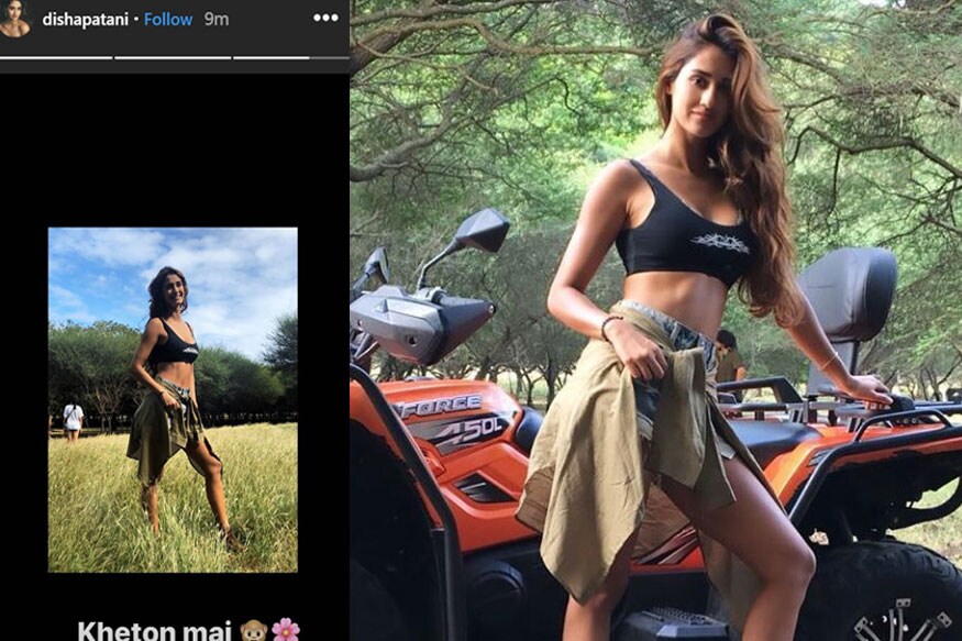 Disha Patani, Disha Patani viral photo, Disha Patani in Farm, Malang, खेतों में दिशा पटानी, Disha Patani In Farm