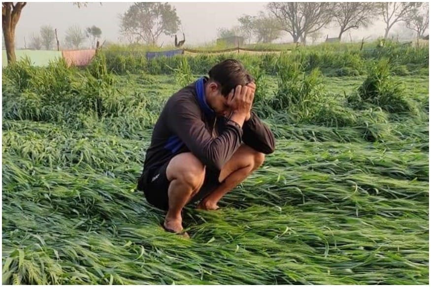 Farming crisis in india, farmers challenges in india, Loss due natural disasters, coronavirus outbreak, agriculture situation, pm kisan scheme, kisan, भारत में खेती का संकट, भारत में किसानों की चुनौतियां, प्राकृतिक आपदाओं के कारण होने वाली हानि, कोरोनोवायरस का प्रकोप, कृषि की स्थिति, पीएम किसान योजना, kisan news in hindi