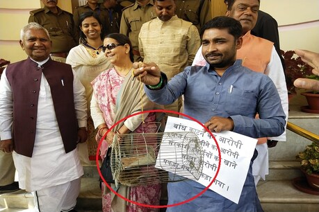 बिहार में पकड़ा गया घोटालों का दोषी चूहा! RJD ने की सदन में पेश करने की मांग, जानें पूरा माजरा बिहार में पकड़ा गया घोटालों का दोषी चूहा! RJD ने की सदन में पेश करने की मांग, जानें पूरा माजरा