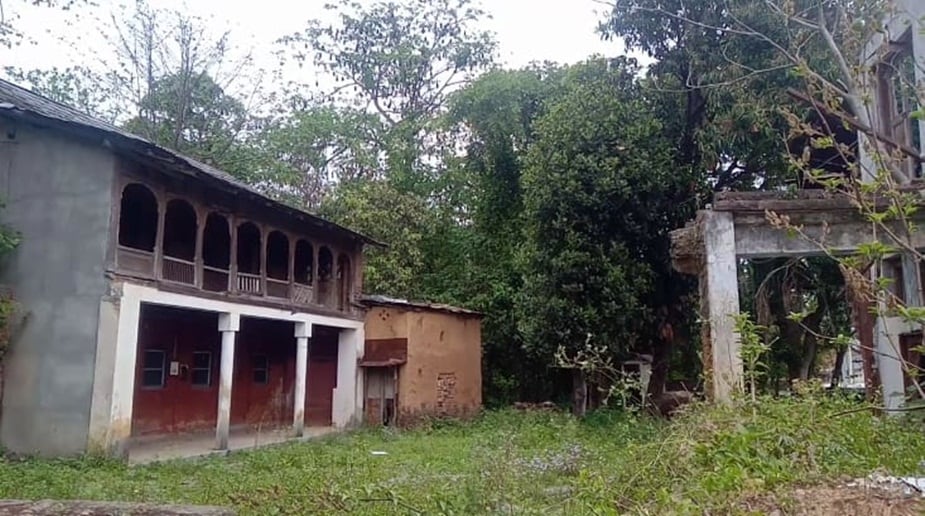 धरोहर गांव गरली में चमगादड़ों की तरह फिल्मी सितारों का जमावड़ा भी लगा रहता है.