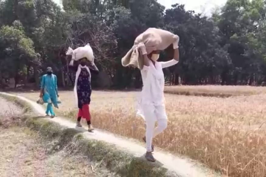 सवारी के अभाव में हाथ ठेले और सिर पर ढोती हैं राशन की बोरियां In the absence of riding, hand carts and head bags carry ration bags