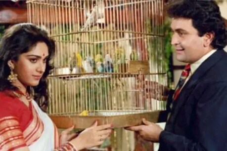 27 साल पहले आज ही के दिन रिलीज हुई थी 'दामिनी' फिल्म.