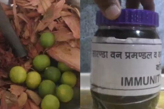 कोरोना संक्रमण को देखते हुए सांरडा वन प्रमंडल ने इम्यूनिटी बढ़ाने वाला पेय पदार्थ बनाया है. 