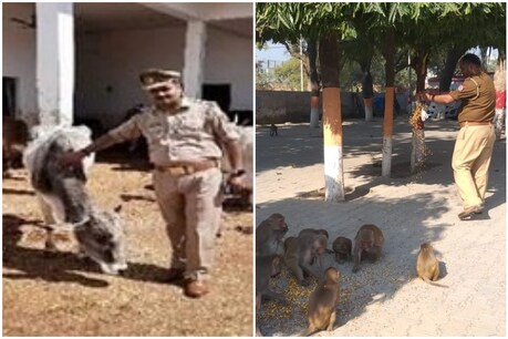 इंस्पेक्टर पंकज मिश्रा कि यह सेवा किसी जानवर विशेष के लिए नही है